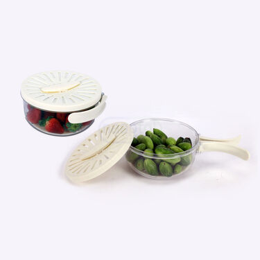 2-in-1 Drain & Storage Container With Foldable Handles (1DBS1)