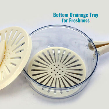 2-in-1 Drain & Storage Container With Foldable Handles (1DBS1)