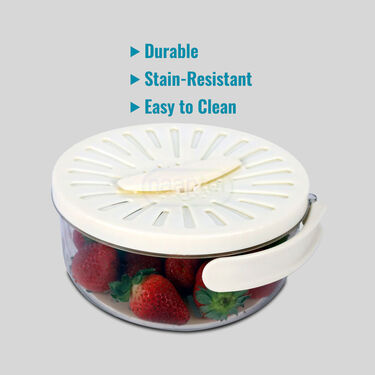 2-in-1 Drain & Storage Container With Foldable Handles (1DBS1)