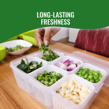 Veggie FreshFridge Storage Box (VFSB1)