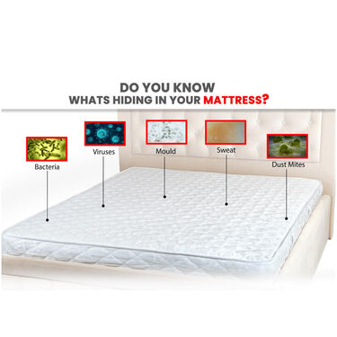 Double Mattress Protector Sheet with 2 Pillow Protector Free (DMP4)