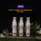 Pack of 3 Stainless Steel Water Bottle - 750ml (3B5)